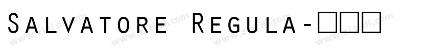 Salvatore Regula字体转换